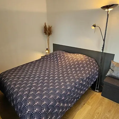 Apartman Les Deux Grenouilles 5mn De Colmar Herrlisheim-près-Colmar