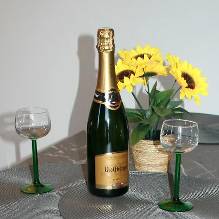 Apartman Les Deux Grenouilles 5mn De Colmar Herrlisheim-près-Colmar