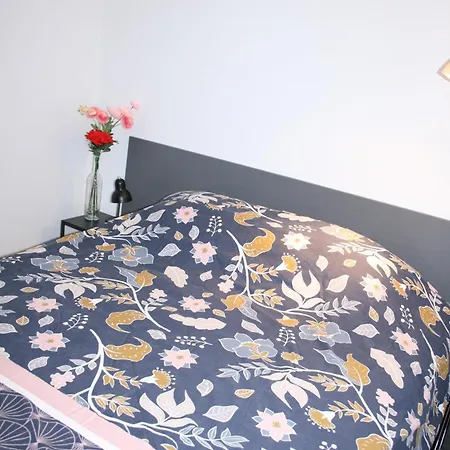 Apartment Les Deux Grenouilles 5mn De Colmar