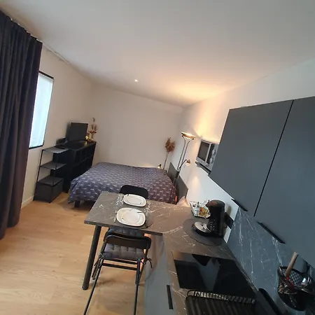 公寓 Les Deux Grenouilles 5mn De Colmar