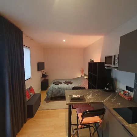 Les Deux Grenouilles 5mn De Colmar * Herrlisheim-près-Colmar