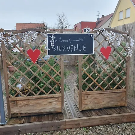 公寓 Les Deux Grenouilles 5mn De Colmar Herrlisheim-près-Colmar