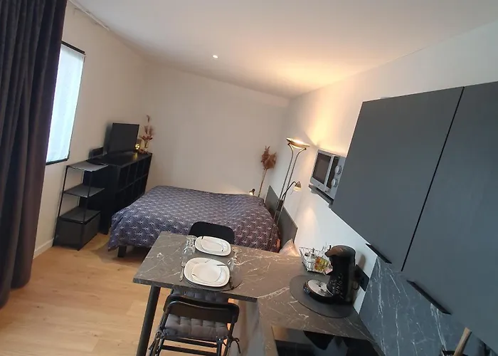 公寓 Les Deux Grenouilles 5mn De Colmar